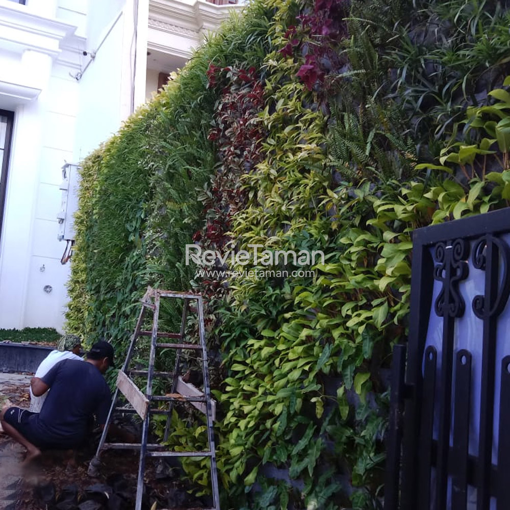 Jasa Vertical Garden Jakarta