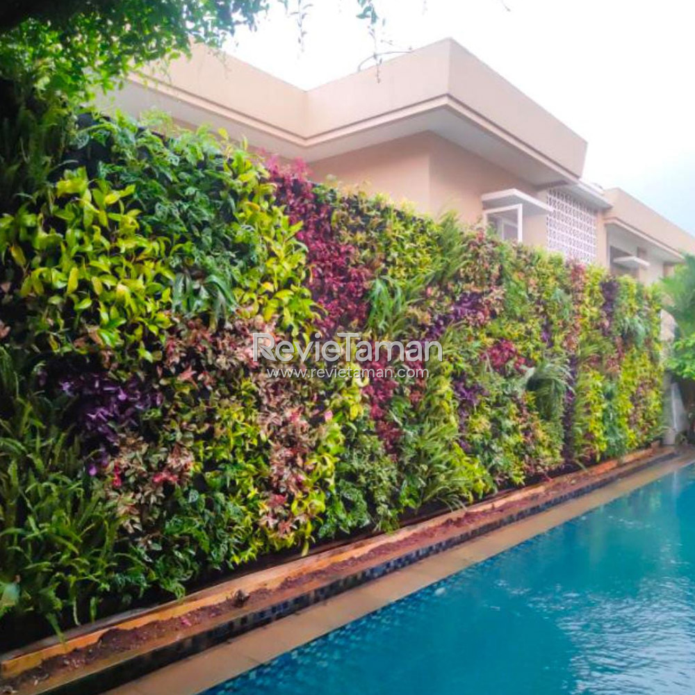 Tukang Taman Bintaro